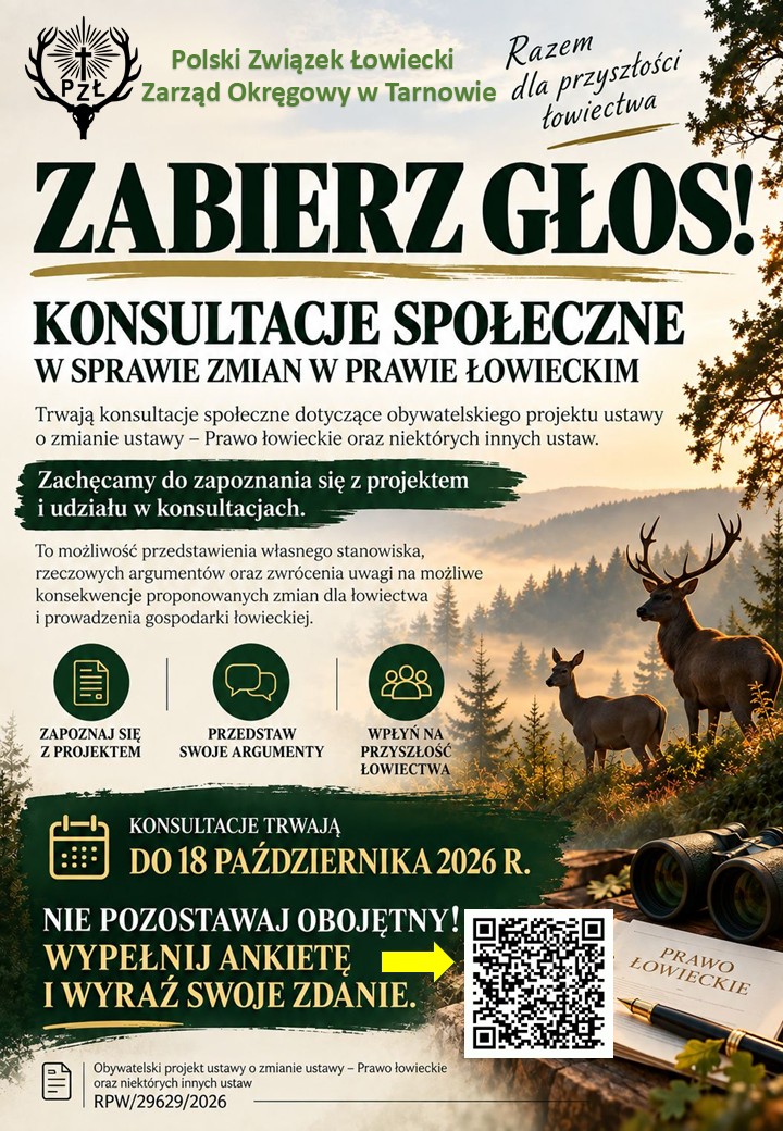 konsultacje społeczne - plakat
