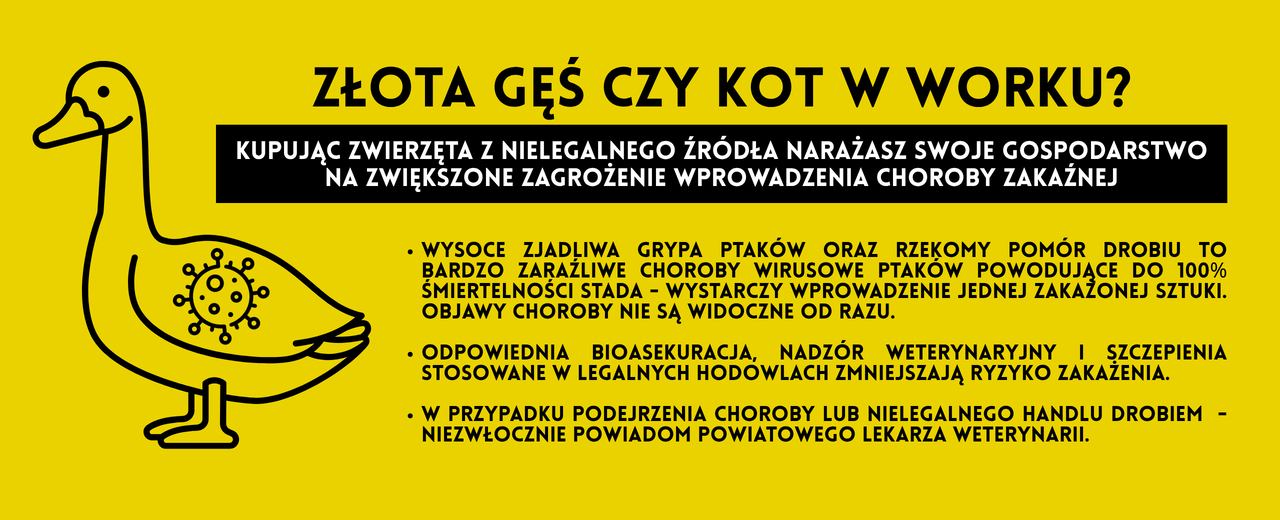 plakat informacyjny